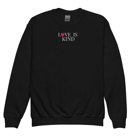 Black sweatshirt with 'LOVE IS KIND' embroidered text on a white background